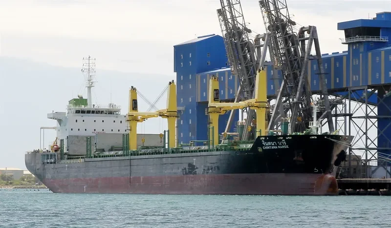 CHINTANA NAREE Bulk Carrier IMO 9464039 photo 7