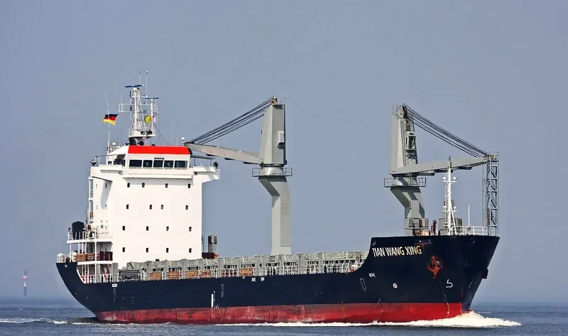 TIAN WANG ZHI XING General Cargo IMO 9464223 photo 10