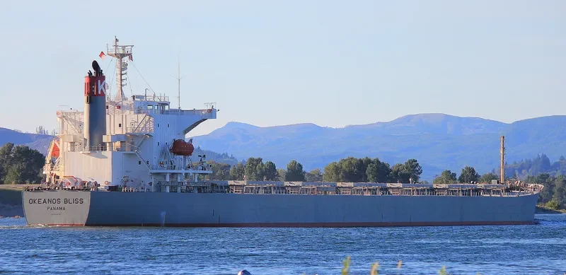OKEANOS BLISS Bulk Carrier IMO 9464390 photo 2