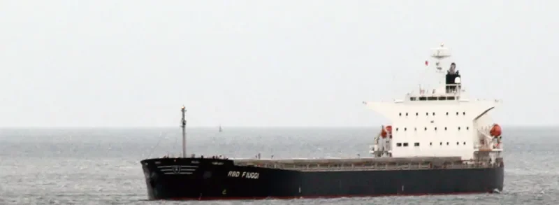 OKEANOS BLISS Bulk Carrier IMO 9464390 photo 7