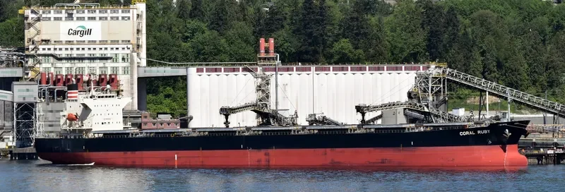 CORAL RUBY Bulk Carrier IMO 9464405
