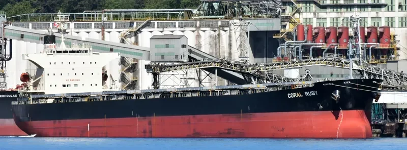 CORAL RUBY Bulk Carrier IMO 9464405 photo 2