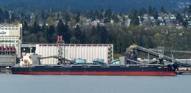 CORAL RUBY Bulk Carrier IMO 9464405 photo 5
