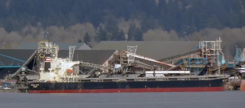 CORAL RUBY Bulk Carrier IMO 9464405 photo 6