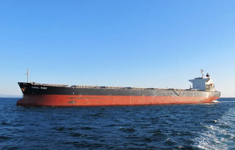 CORAL RUBY Bulk Carrier IMO 9464405 photo 7