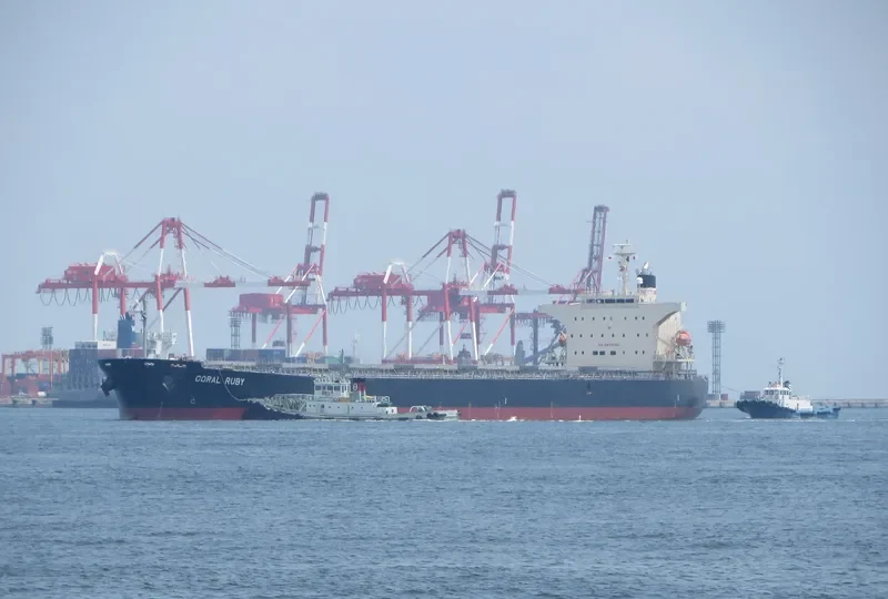 CORAL RUBY Bulk Carrier IMO 9464405 photo 9