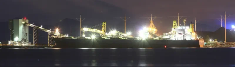 LEMESSOS QUEEN Bulk Carrier IMO 9464417