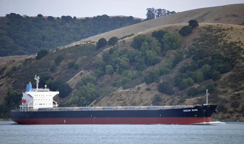 IMPERIAL ROSE Bulk Carrier IMO 9464508