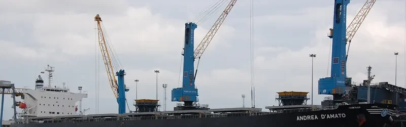 IMPERIAL ROSE Bulk Carrier IMO 9464508 photo 3