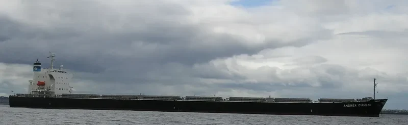 IMPERIAL ROSE Bulk Carrier IMO 9464508 photo 5