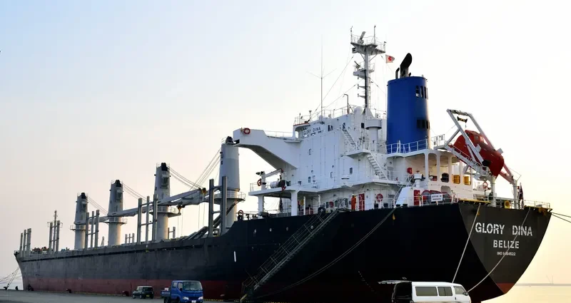 GLORY DINA Bulk Carrier IMO 9464522