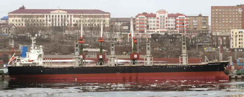 GLORY DINA Bulk Carrier IMO 9464522 photo 2