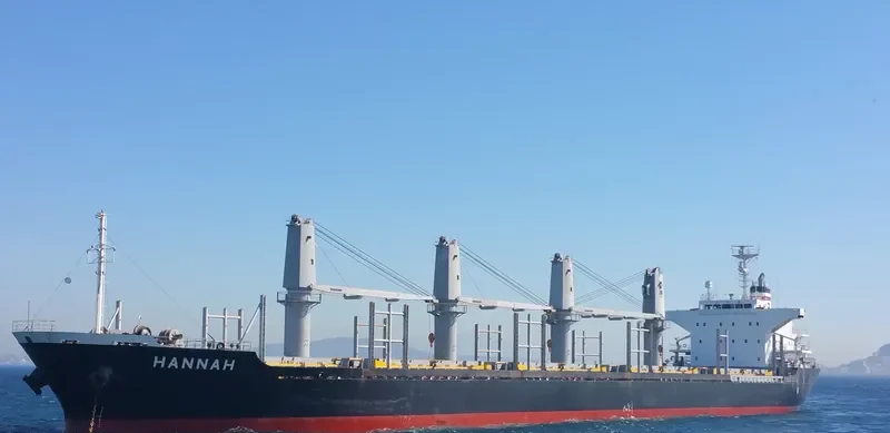 HANNAH Bulk Carrier IMO 9464558 photo 7