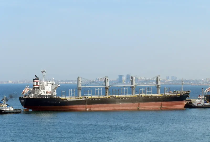 HANNAH Bulk Carrier IMO 9464558 photo 9