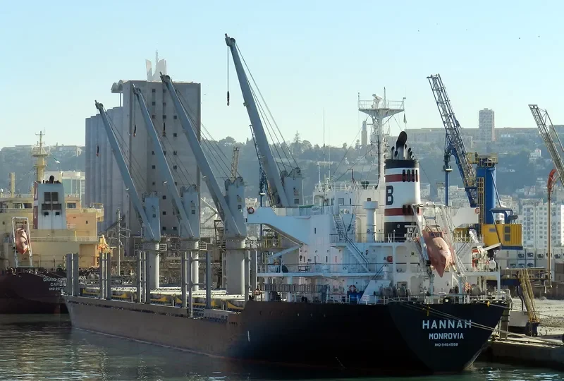 HANNAH Bulk Carrier IMO 9464558 photo 10