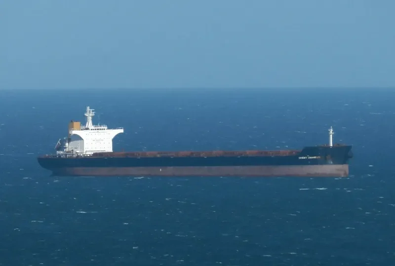 PATRICIA OLDENDORFF Bulk Carrier IMO 9464584 photo 6