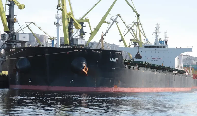 MINI Bulk Carrier IMO 9464651 photo 8