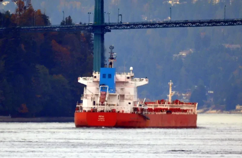 DERBY Bulk Carrier IMO 9464780 photo 4