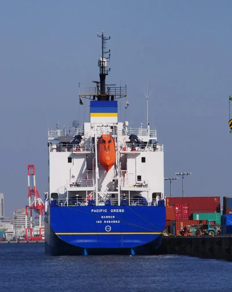 PACIFIC GREBE General Cargo IMO 9464883 photo 3