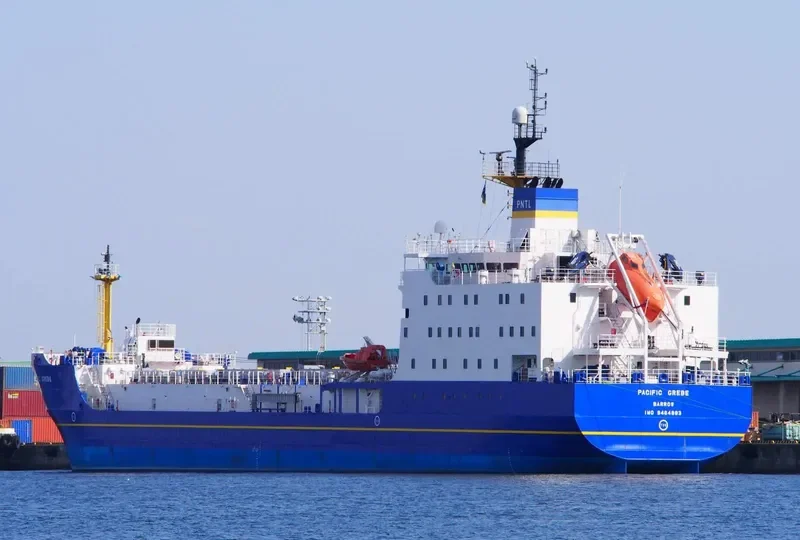 PACIFIC GREBE General Cargo IMO 9464883 photo 4