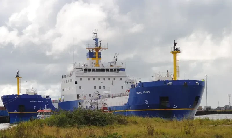 PACIFIC GREBE General Cargo IMO 9464883 photo 9