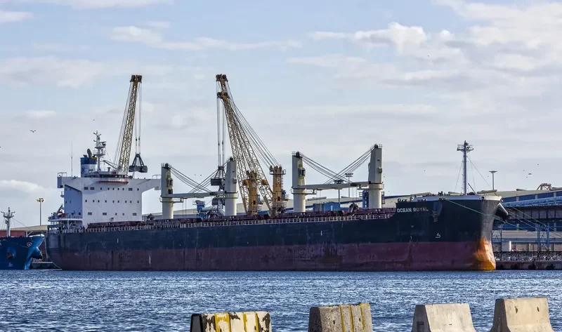 OCEAN ROYAL Bulk Carrier IMO 9465150