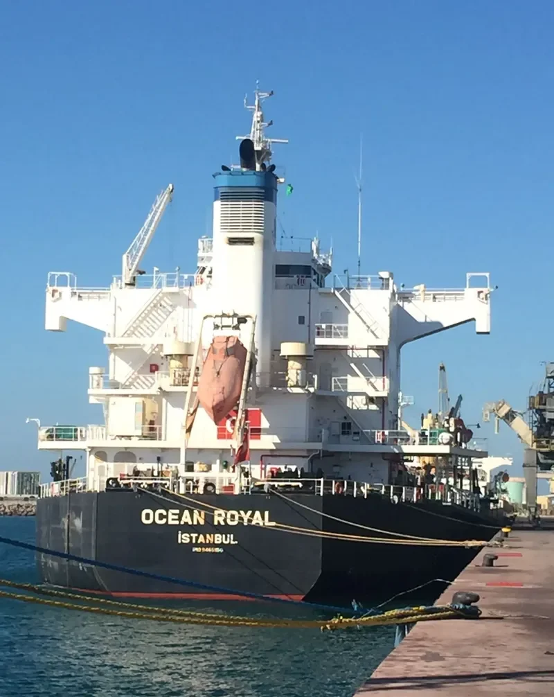 OCEAN ROYAL Bulk Carrier IMO 9465150 photo 3