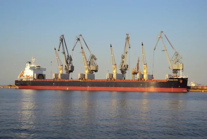 OCEAN ROYAL Bulk Carrier IMO 9465150 photo 6