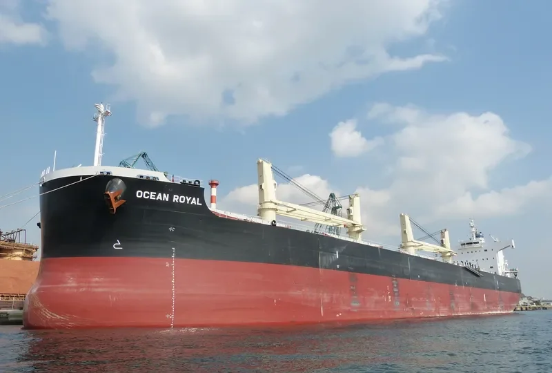 OCEAN ROYAL Bulk Carrier IMO 9465150 photo 8