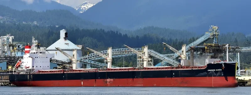 CRIMSON QUEEN Bulk Carrier IMO 9465174 photo 3