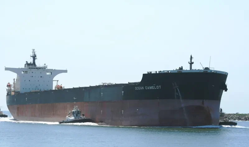 CAPE PUFFIN Bulk Carrier IMO 9465186 photo 4