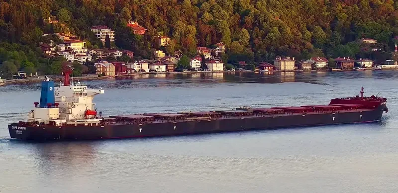 CAPE PUFFIN Bulk Carrier IMO 9465186 photo 6