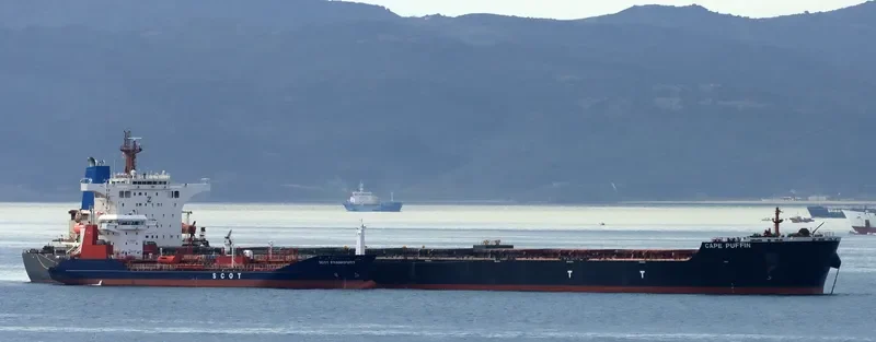 CAPE PUFFIN Bulk Carrier IMO 9465186 photo 9