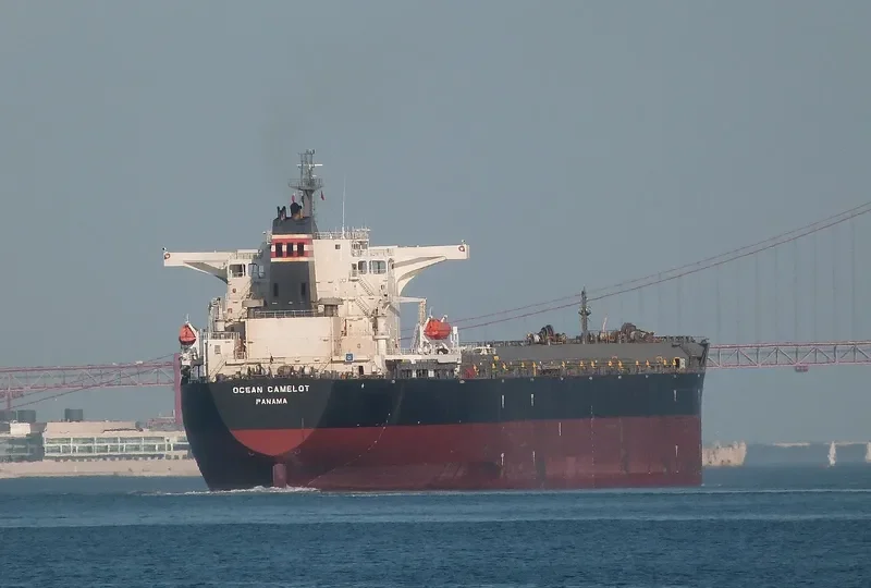 CAPE PUFFIN Bulk Carrier IMO 9465186 photo 10
