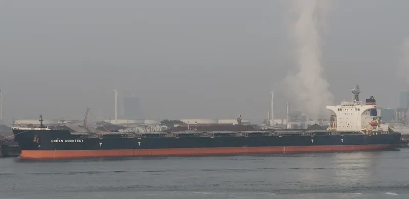 OCEAN COURTESY Bulk Carrier IMO 9465198 photo 2
