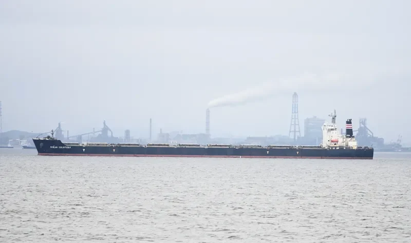 OCEAN COURTESY Bulk Carrier IMO 9465198 photo 8
