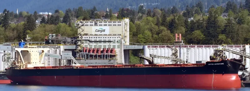 UNITED ADVENTURE Bulk Carrier IMO 9465215 photo 5