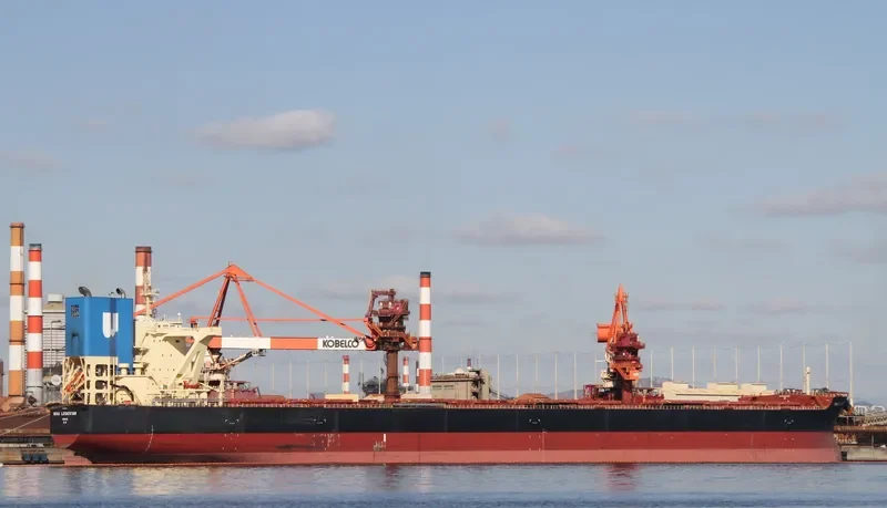 NSU LODESTAR Bulk Carrier IMO 9465227 photo 6