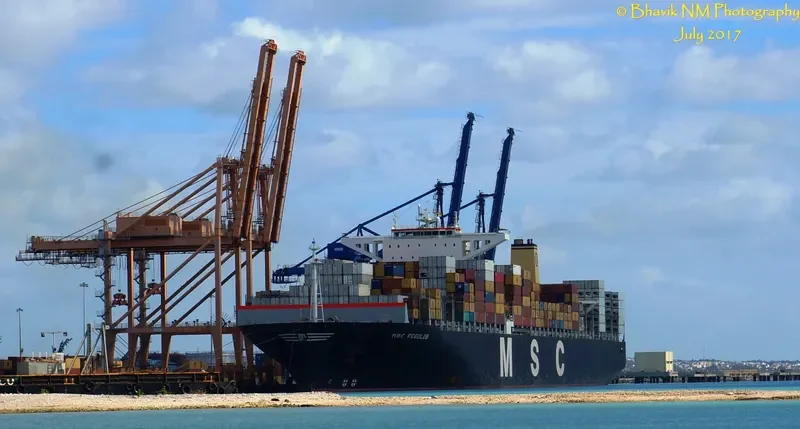 MSC REGULUS Container Ship IMO 9465291