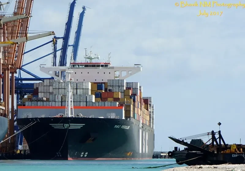 MSC REGULUS Container Ship IMO 9465291 photo 2