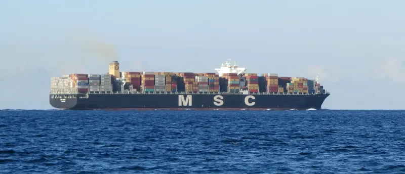 MSC RENEE Container Ship IMO 9465306 photo 2
