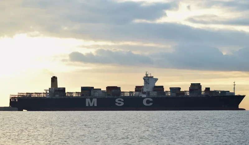 MSC RENEE Container Ship IMO 9465306 photo 3