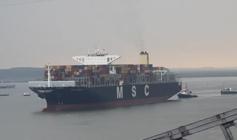MSC RENEE Container Ship IMO 9465306 photo 9