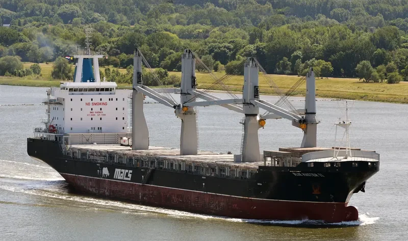 BLUE MASTER II General Cargo IMO 9465411 photo 2