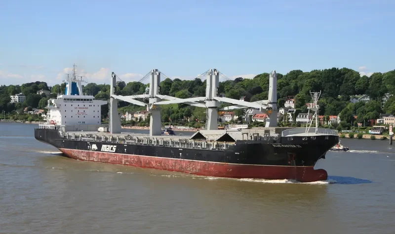 BLUE MASTER II General Cargo IMO 9465411 photo 10