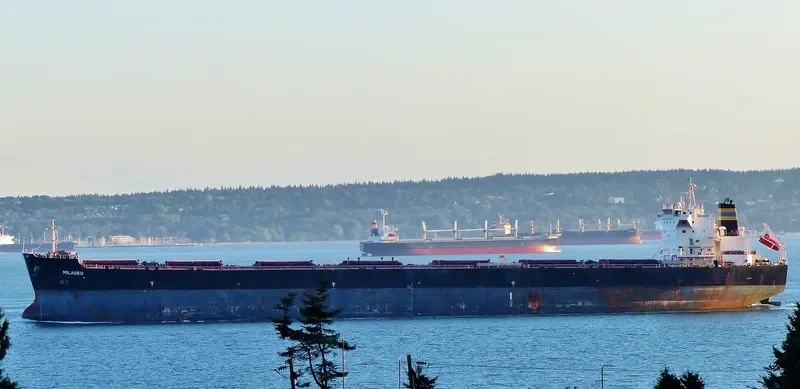 MILAGRO Bulk Carrier IMO 9465708 photo 5