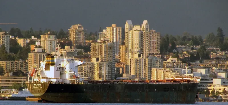 MILAGRO Bulk Carrier IMO 9465708 photo 6