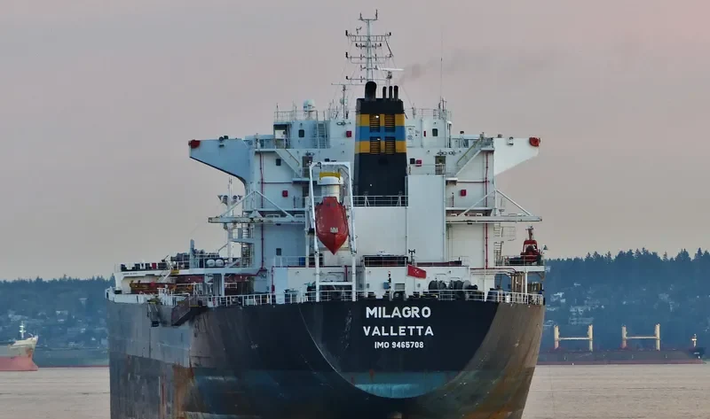 MILAGRO Bulk Carrier IMO 9465708 photo 7