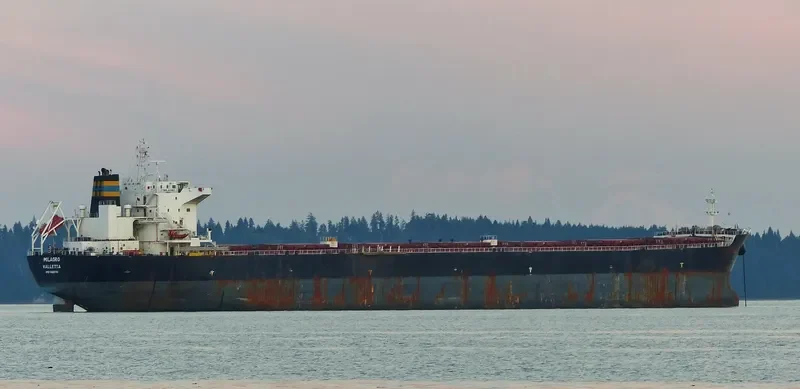 MILAGRO Bulk Carrier IMO 9465708 photo 8