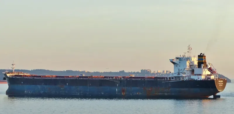 MILAGRO Bulk Carrier IMO 9465708 photo 9